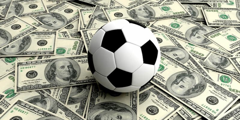 Tổng quan về tiền cỏ và vai trò tại QH88